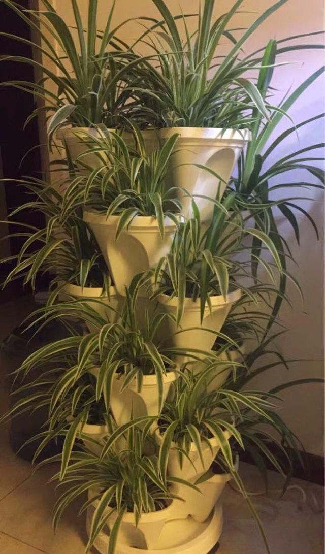 养花占地方？阳台支个架，再养10盆也不挤！