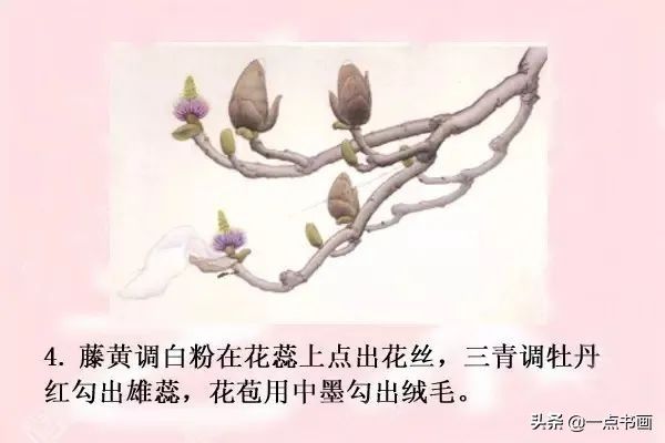 鸳鸯#图文教程——工笔玉兰画法