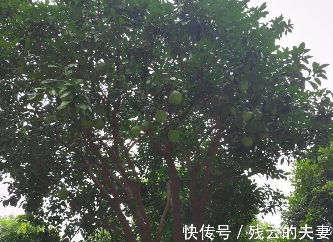 入睡|你晚上有辗转反侧失眠难入睡的经历吗?