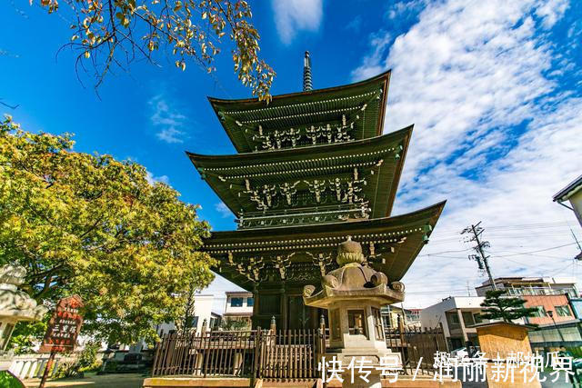 高山市|日本高山最有名的寺庙，有着一千两百年的银杏树，吸引众多游客