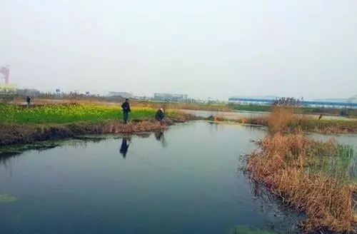 垂钓大师分享找鱼窝技巧，鱼儿在窝惊都惊不走！太过瘾了