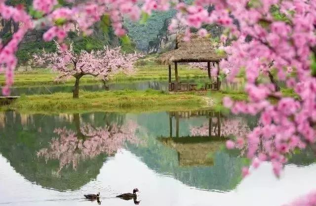 夏姬|先秦之桃花心思不在美人,意在变数