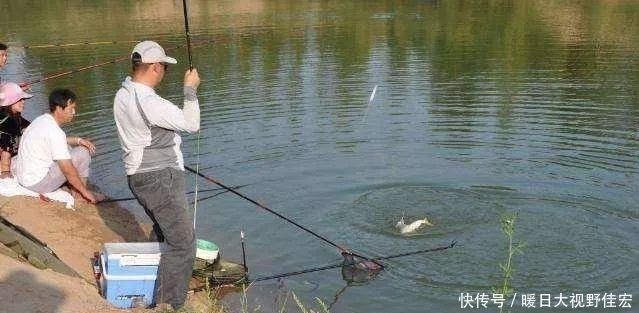 什么情况|滑铅钓法有什么优势?要在什么情况下使用?