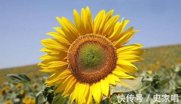 登记证|有人说80%网购农药都不靠谱？注意两点一建议，教你网购正品农药