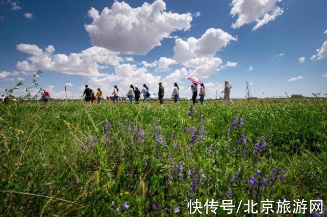 秋色|天苍苍 野茫茫 塞上草原秋色正好