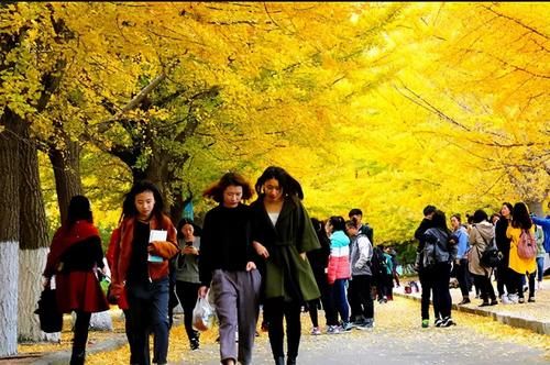 愚蠢|大学时代，学生党自认为“有面子”的4种行为，毕业后才感觉愚蠢