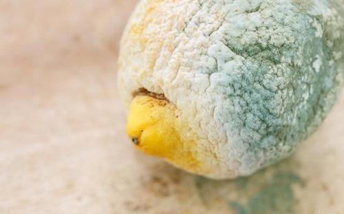 温床|此些是“黄曲霉素”的温床,平时喜欢藏在卫生间里,早知道早受益