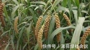 知我者$历史上最“懒”的一首诗,全诗39个字有36个重复,然成了千古经典