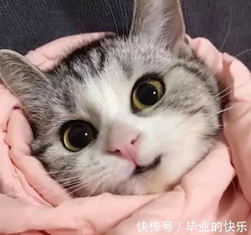 |年度幽默段子:《小三盗墓》