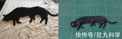 长颈狗|全球的猫都想屏蔽这个日本人，他到底做了多少沙雕手办？