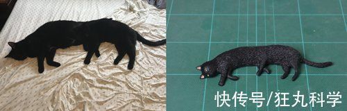 长颈狗|全球的猫都想屏蔽这个日本人,他到底做了多少沙雕手办?