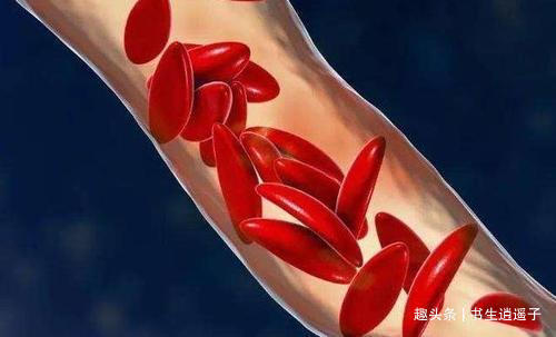 食用价值|30个冷知识或许只有一小部分人知晓，但却真实存在于世界