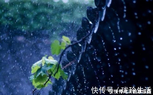 雨来&杨万里《小雨》，是怎样的慧心，把雨写得那样灵动