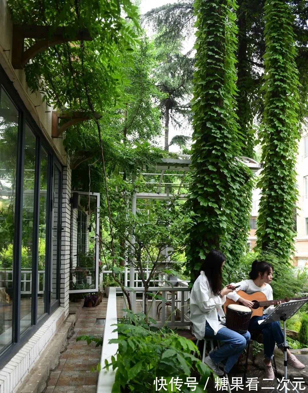 王俐|服装设计师兼花园设计师,裁剪最美的花园时光