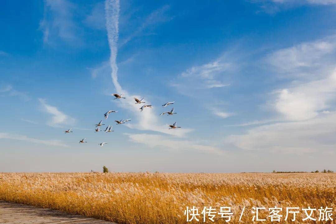 极北之地|首金冠军的家乡,极北之地,这个又美又刚的地方值得上一次热搜!