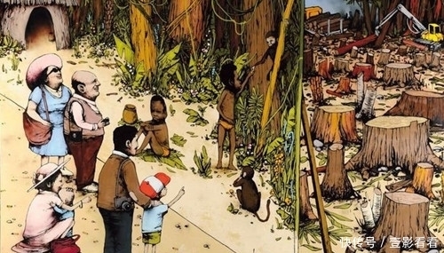 阅历|没有社会阅历的人,可能无法看明白真正含义的10幅插画