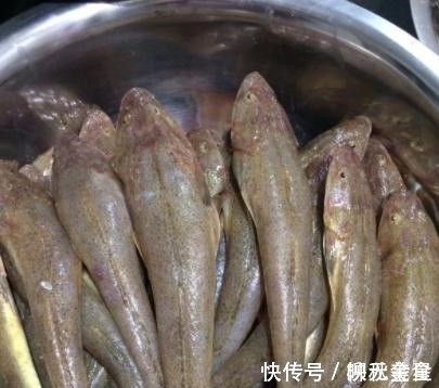 海鱼|市场上这4种鱼要多吃,含钙量高,目前无法人工干预,都是野生鱼!