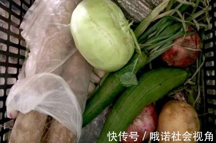 男人|长寿的男人，通常会有“五爱”的特征，占了两个，或都和长寿有缘