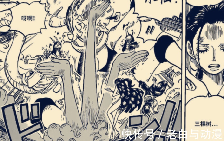 修炼|海贼王1021话情报:罗宾回忆修炼,桃之助让小忍把他变成大人