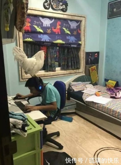 |搞笑gif:自从用了这个密码,再也不用担心老婆拿我手机了