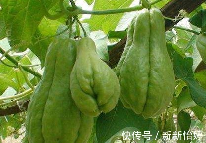 美容养颜|人到中年想养生，几种食物少不了，美容抗衰，润肤养颜，早吃早好