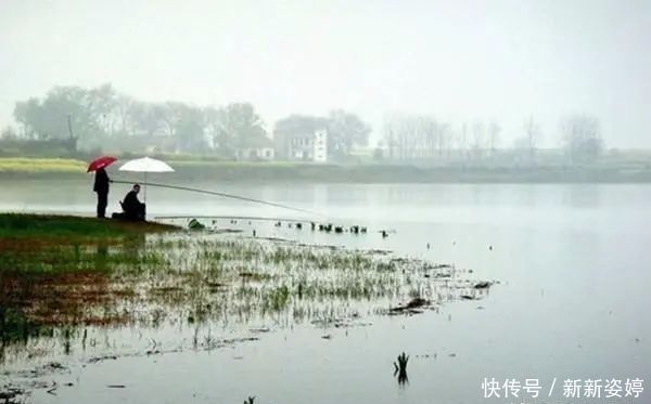 鱼钩|夏季钓黄颡鱼,这两种钓法很实用,钓法得当,渔获差不了