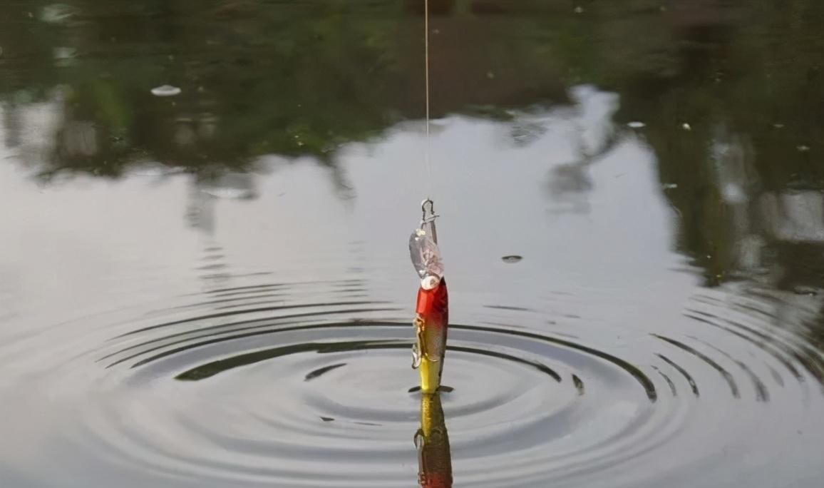 降温后鱼口轻总是没顿口换个“思路”来调漂,马上就黑漂了