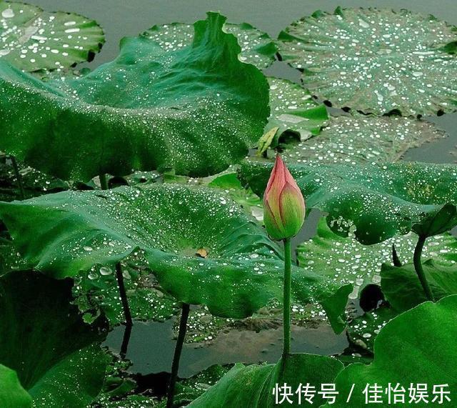 膻中穴|出现3个表现,说明你的身体气血不通,最好的疏通方法都在这里!