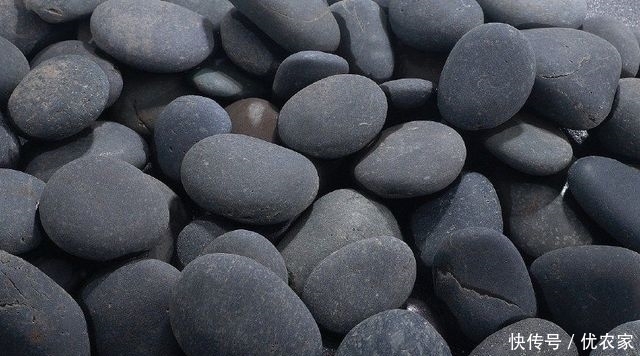 神奇的石头不但会唱歌做饭还会点缀人的梦 你一定没见过