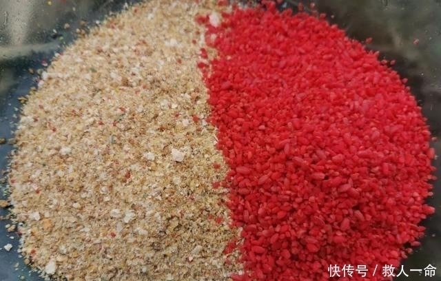 饵料|饵料里面加把米,诱鱼留鱼两不误,这一招在野钓百试不爽