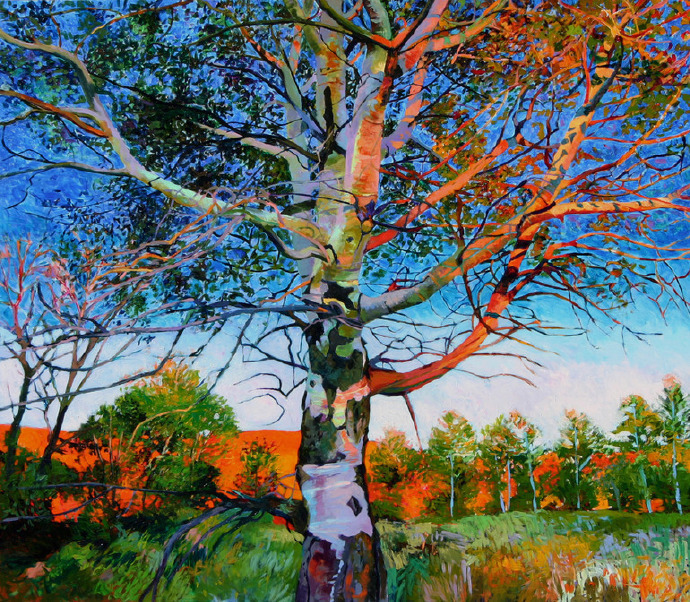 画面@凌乱的色彩,整体和谐的画面,美极了