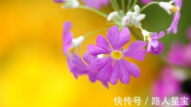 添喜|未来10天，鸿运当头，吉运天降，添喜添福，咸鱼翻身的4大星座