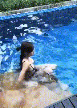 搞笑|搞笑GIF：我觉得这个网民说的很合理，这绝对是上帝的评论！