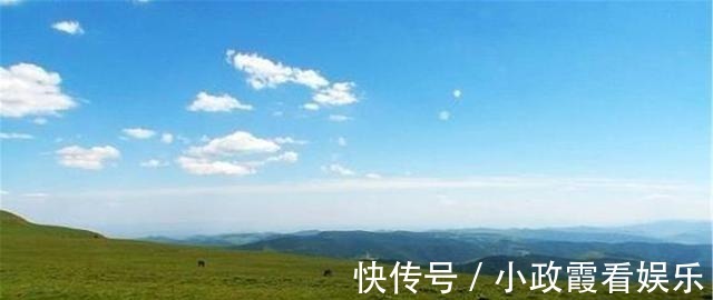 草甸|山西4万亩“大荷叶”，海拔高2783米，夏天或能与雪偶遇