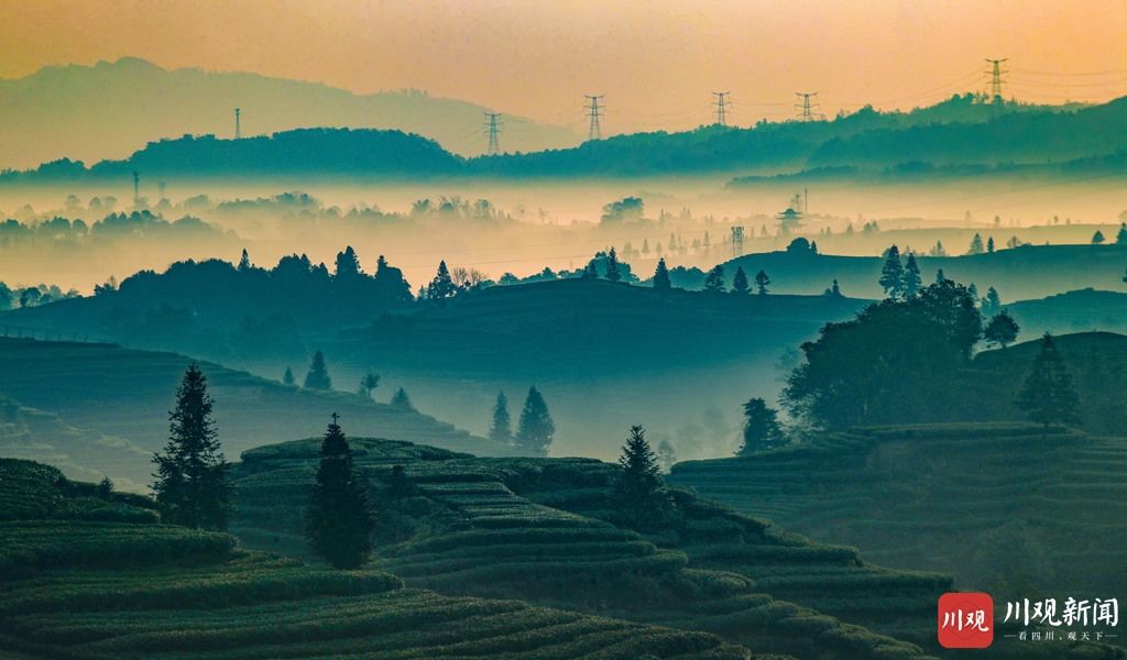 低薪|雅安名山：茶园日出如画似卷