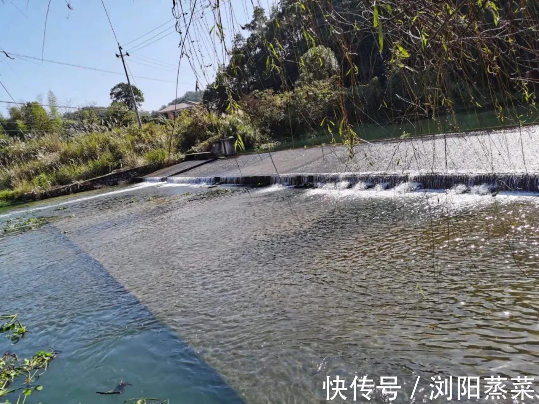 自信|当你相信你的孩子时,你的孩子就会开始自信!