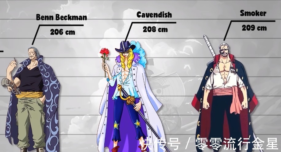 身高|海贼王数据公示2罗宾长腿令女生羡慕,山治家族只有两个正常人