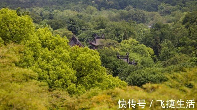 永福寺|紧挨灵隐寺还有一座寺庙，1600年历史还不用门票，很多游客不知道