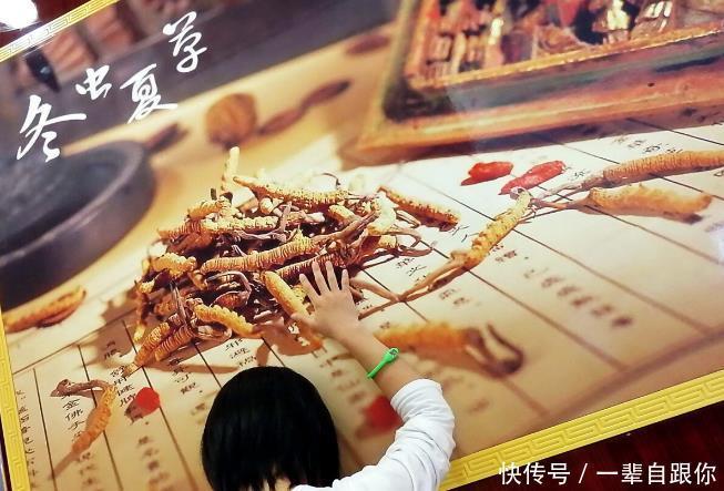 六味地黄丸|常见的中药方剂有哪些6类中药方剂,多了解有好处