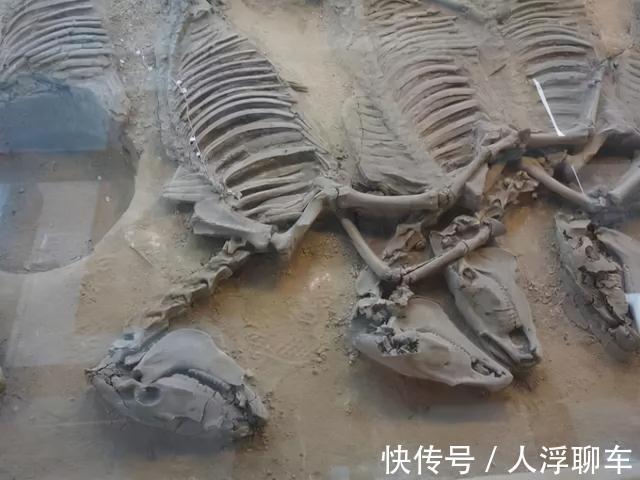 考古学家&真实存在的“九层妖塔”,专家发掘两层就停了,其余七层为何无人敢动