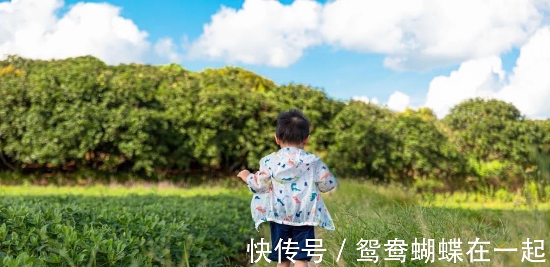 高卫红|早起的孩子,到底有多可怕?早起的孩子,到底有多可怕!