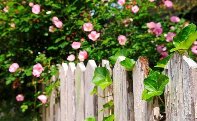 潮湿|住一楼带院子的户型，做好5件事，轻松赶走潮湿