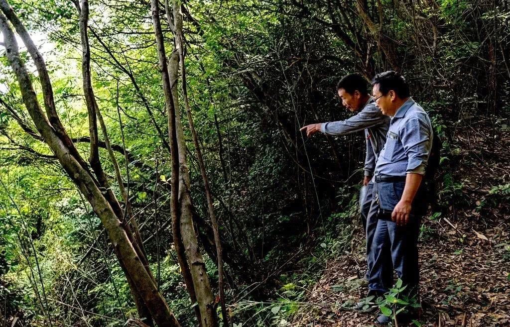 中年|金寨千年古寨，能一览无余的看梅山！