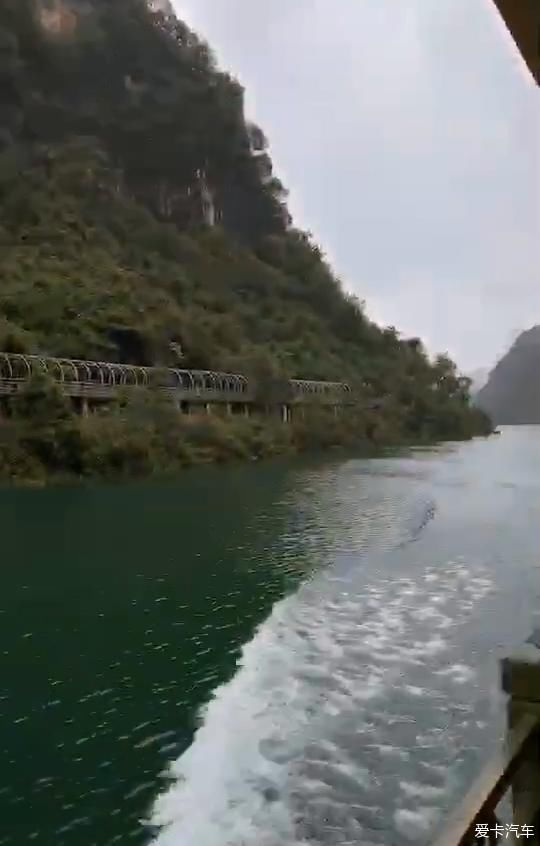 沃沃雨中伴我游（一）