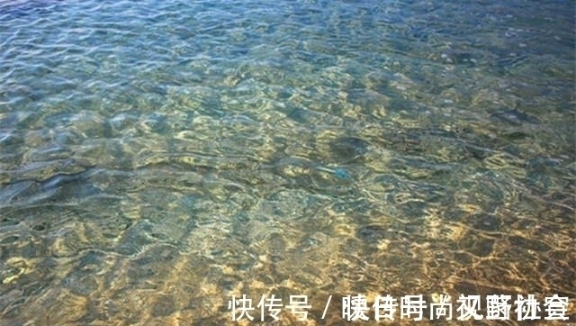 半天不上一条鱼,原来钓位选错了!这4处位置一定不要选