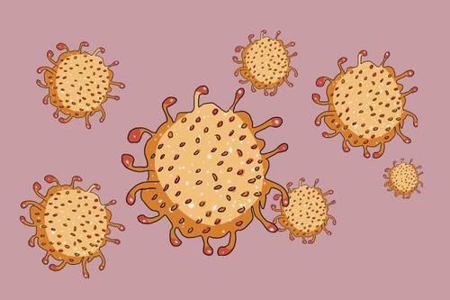 5岁女孩，每天吃鸡内金健脾消积食，后来怎样了？身体得到了啥？