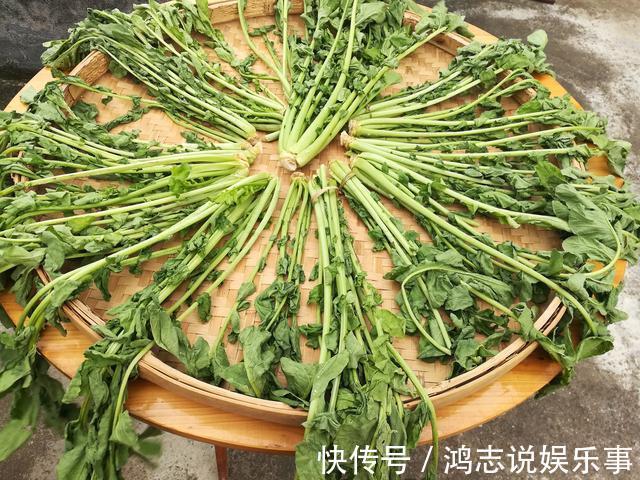 炖肉|这菜不花钱，营养极高，很多人当垃圾扔，晒干了炖肉特香，别浪费