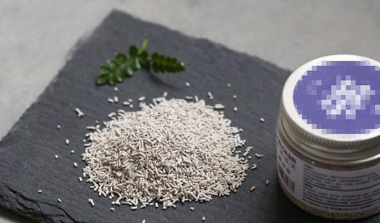 多肉“老桩”怎么样方法一点就通,做好5点,主干木质化