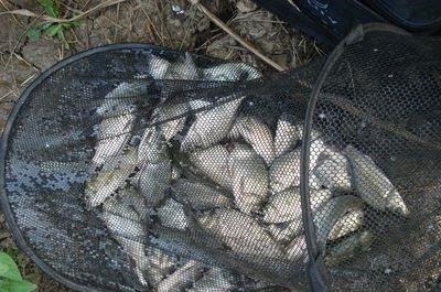 浮漂|钓鱼时找准鱼层是关键,这样浮漂的反应才最真实