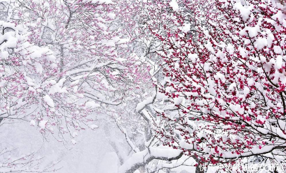 诗人|杨万里黄昏赏雪，写下首调皮的经典咏雪诗，无一雪字却句句写雪